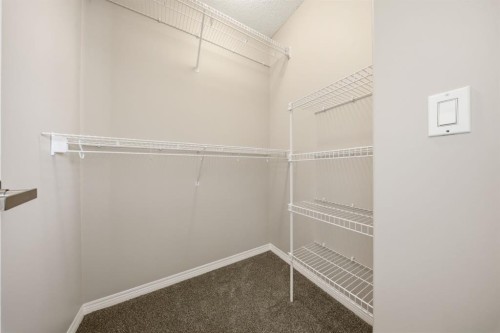 283 Springmere Link, Chestermere, AB - Indoor With Storage