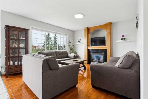 292 Taracove Estate Drive Ne, Calgary, AB - Indoor Photo Showing Living Room With Fireplace