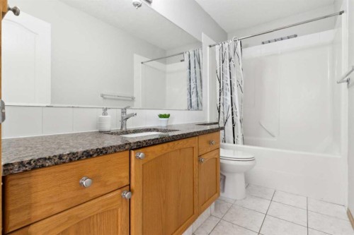 292 Taracove Estate Drive Ne, Calgary, AB - Indoor Photo Showing Bathroom