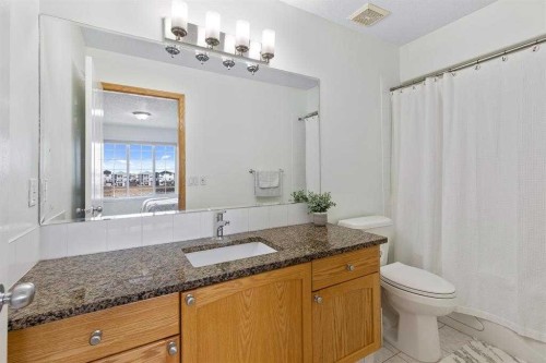 292 Taracove Estate Drive Ne, Calgary, AB - Indoor Photo Showing Bathroom