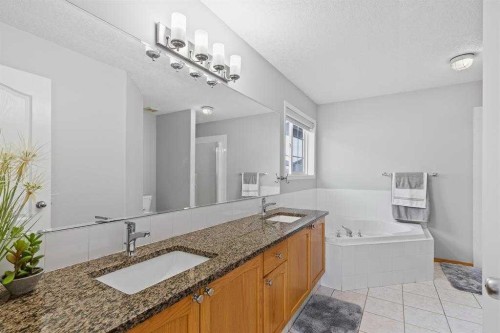 292 Taracove Estate Drive Ne, Calgary, AB - Indoor Photo Showing Bathroom