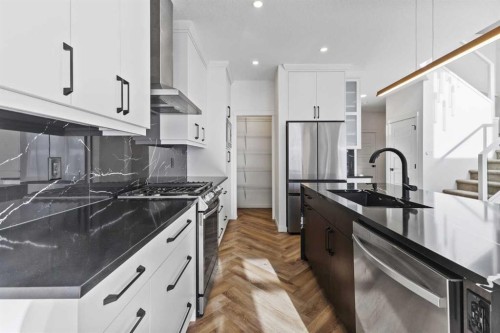 229 Calhoun Crescent Ne, Calgary, AB - Indoor Photo Showing Kitchen With Stainless Steel Kitchen With Upgraded Kitchen