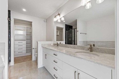 229 Calhoun Crescent Ne, Calgary, AB - Indoor Photo Showing Bathroom