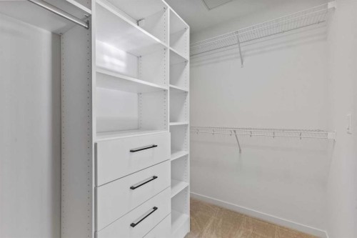 229 Calhoun Crescent Ne, Calgary, AB - Indoor With Storage