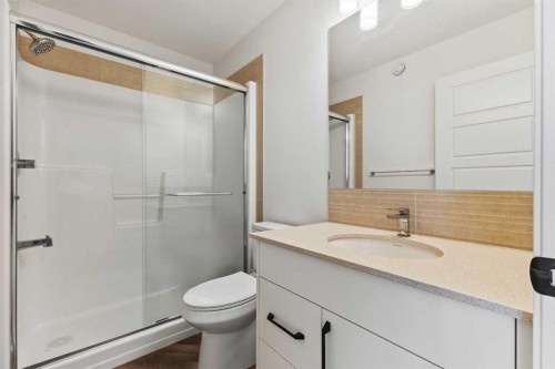 229 Calhoun Crescent Ne, Calgary, AB - Indoor Photo Showing Bathroom