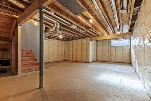 229 Calhoun Crescent Ne, Calgary, AB - Indoor Photo Showing Basement