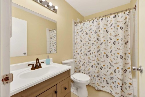 42F Green Meadow Crescent, Strathmore, AB - Indoor Photo Showing Bathroom