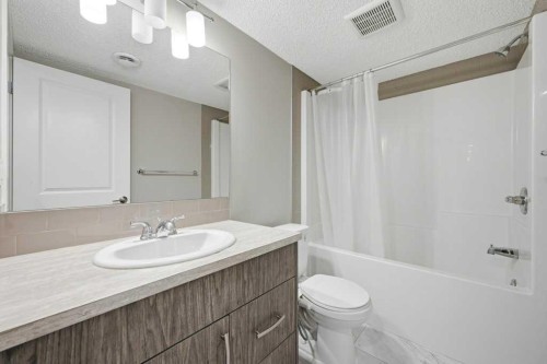 75 Howse Crescent Ne, Calgary, AB - Indoor Photo Showing Bathroom