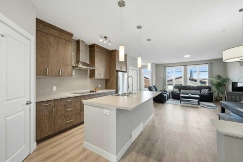 75 Howse Crescent Ne, Calgary, AB - Indoor Photo Showing Kitchen With Upgraded Kitchen