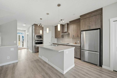 75 Howse Crescent Ne, Calgary, AB - Indoor Photo Showing Kitchen With Stainless Steel Kitchen With Upgraded Kitchen