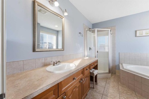 129 Cougartown Circle Sw, Calgary, AB - Indoor Photo Showing Bathroom