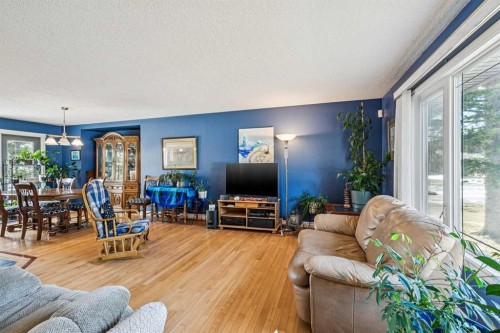 443 Brookmere Crescent Sw, Calgary, AB - Indoor Photo Showing Living Room