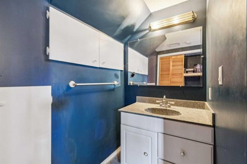 443 Brookmere Crescent Sw, Calgary, AB - Indoor Photo Showing Bathroom