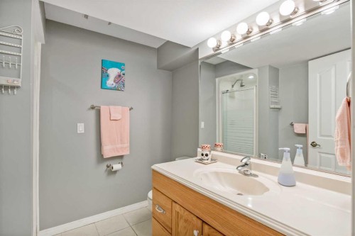 224 Cedarbrae Crescent Sw, Calgary, AB - Indoor Photo Showing Bathroom