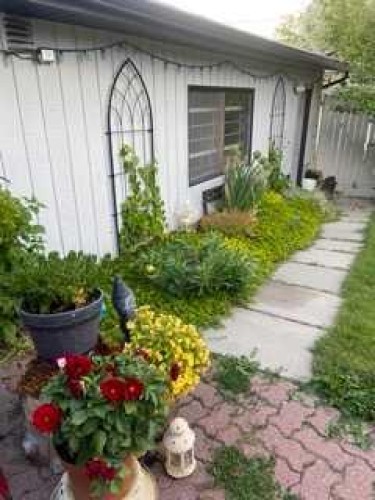 224 Cedarbrae Crescent Sw, Calgary, AB - Outdoor