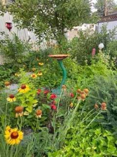 224 Cedarbrae Crescent Sw, Calgary, AB - Outdoor