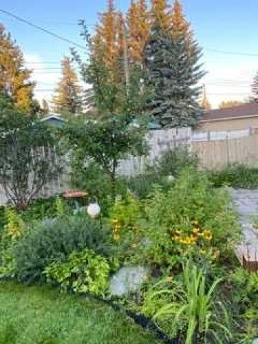 224 Cedarbrae Crescent Sw, Calgary, AB - Outdoor