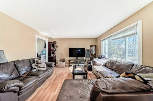 659 Maryvale Way Ne, Calgary, AB - Indoor Photo Showing Living Room