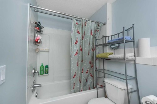 1209 52A Street Se, Calgary, AB - Indoor Photo Showing Bathroom