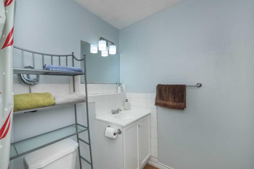 1209 52A Street Se, Calgary, AB - Indoor Photo Showing Bathroom