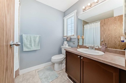 57 Martinvalley Way Ne, Calgary, AB - Indoor Photo Showing Bathroom