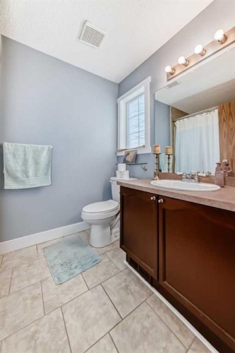 57 Martinvalley Way Ne, Calgary, AB - Indoor Photo Showing Bathroom