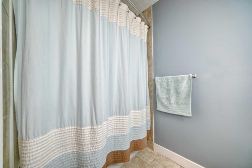 57 Martinvalley Way Ne, Calgary, AB - Indoor Photo Showing Bathroom