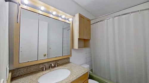 315 Pinecrest Crescent Ne, Calgary, AB - Indoor Photo Showing Bathroom