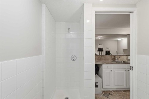 37-6020 Temple Drive Ne, Calgary, AB - Indoor Photo Showing Bathroom