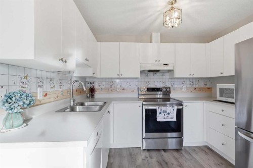 37-6020 Temple Drive Ne, Calgary, AB - Indoor Photo Showing Kitchen With Double Sink