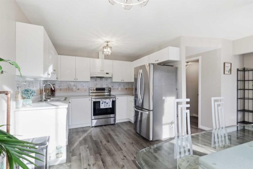 37-6020 Temple Drive Ne, Calgary, AB - Indoor Photo Showing Kitchen With Double Sink