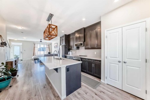 145 Red Sky Way Ne, Calgary, AB - Indoor Photo Showing Kitchen With Double Sink