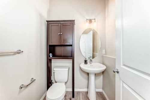 145 Red Sky Way Ne, Calgary, AB - Indoor Photo Showing Bathroom