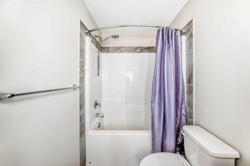 145 Red Sky Way Ne, Calgary, AB - Indoor Photo Showing Bathroom