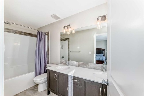 145 Red Sky Way Ne, Calgary, AB - Indoor Photo Showing Bathroom
