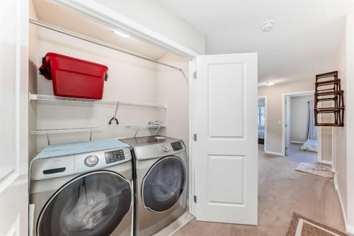 145 Red Sky Way Ne, Calgary, AB - Indoor Photo Showing Laundry Room
