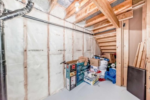 145 Red Sky Way Ne, Calgary, AB - Indoor Photo Showing Basement