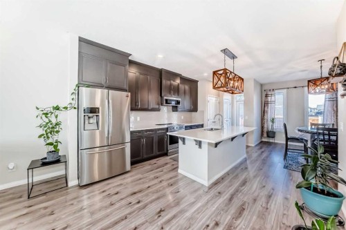145 Red Sky Way Ne, Calgary, AB - Indoor Photo Showing Kitchen With Stainless Steel Kitchen With Upgraded Kitchen