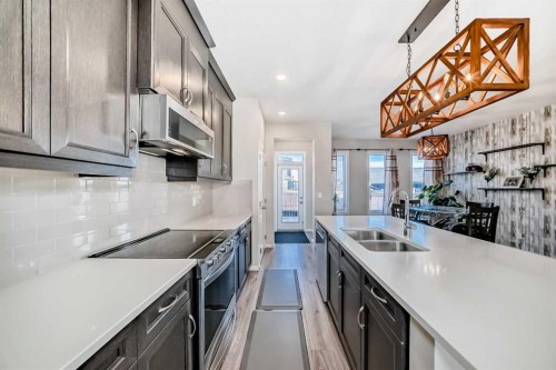 145 Red Sky Way Ne, Calgary, AB - Indoor Photo Showing Kitchen With Double Sink With Upgraded Kitchen