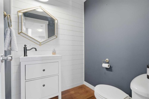 223 Copperfield Green, Calgary, AB - Indoor Photo Showing Bathroom