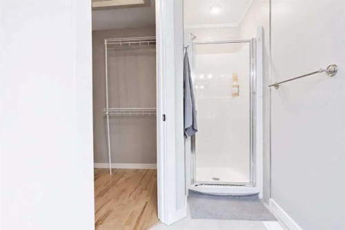 223 Copperfield Green, Calgary, AB - Indoor Photo Showing Bathroom