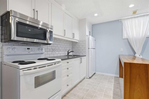223 Copperfield Green, Calgary, AB - Indoor Photo Showing Kitchen
