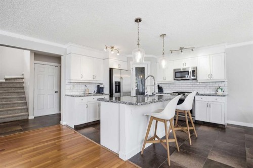 223 Copperfield Green, Calgary, AB - Indoor Photo Showing Kitchen With Upgraded Kitchen