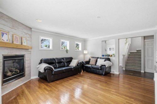 223 Copperfield Green, Calgary, AB - Indoor Photo Showing Living Room With Fireplace