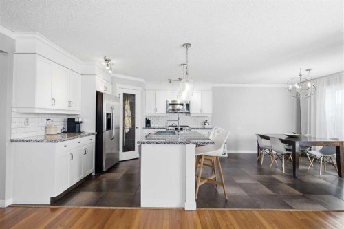 223 Copperfield Green, Calgary, AB - Indoor Photo Showing Kitchen