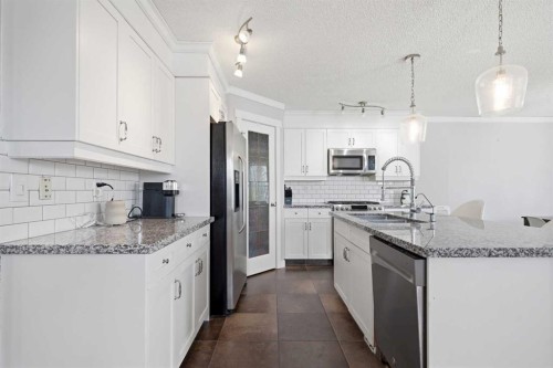 223 Copperfield Green, Calgary, AB - Indoor Photo Showing Kitchen With Double Sink With Upgraded Kitchen
