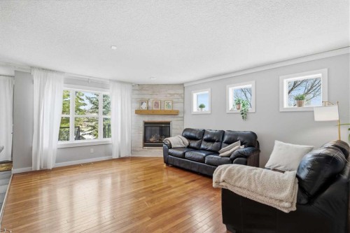 223 Copperfield Green, Calgary, AB - Indoor Photo Showing Living Room With Fireplace