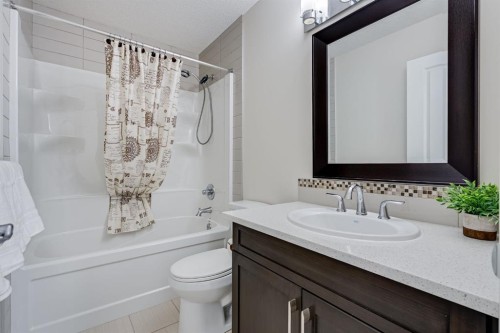 117 Mahogany Place Se, Calgary, AB - Indoor Photo Showing Bathroom