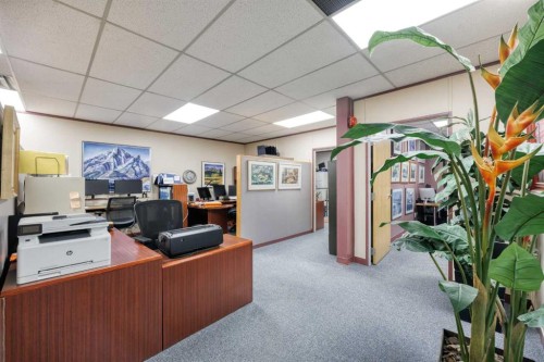 104-2003 14 Street Nw, Calgary, AB 