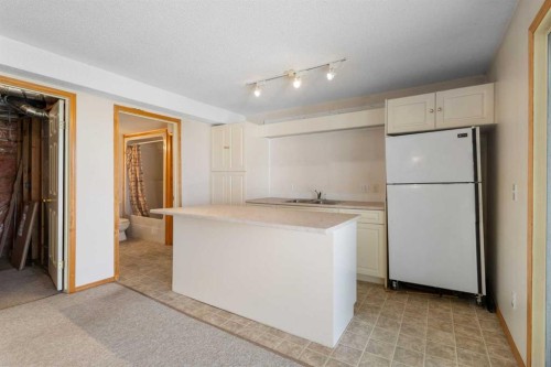 103 Riverside Way Se, Calgary, AB - Indoor Photo Showing Kitchen With Double Sink